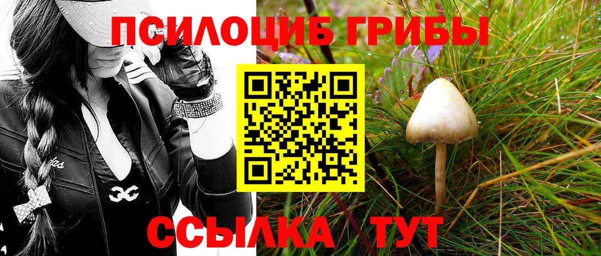 Галлюциногенные грибы MAGIC MUSHROOMS Ессентуки