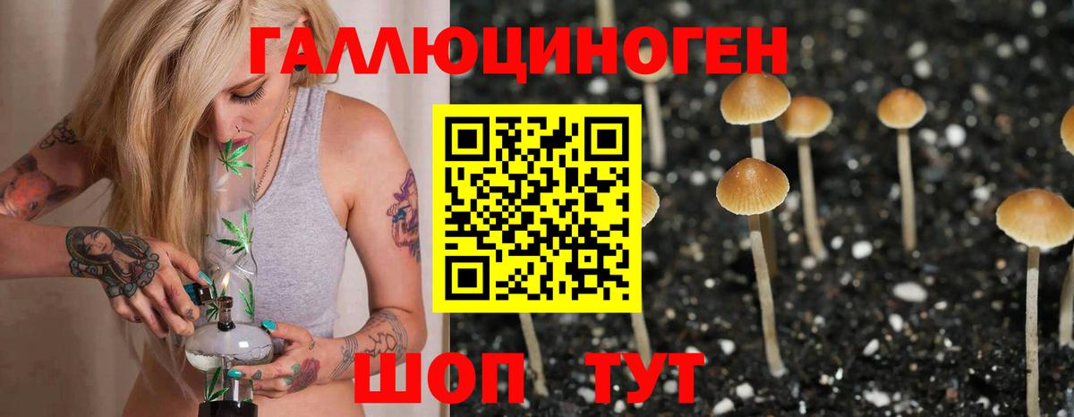 Галлюциногенные грибы ЛСД  Вход с VPN  Ессентуки 